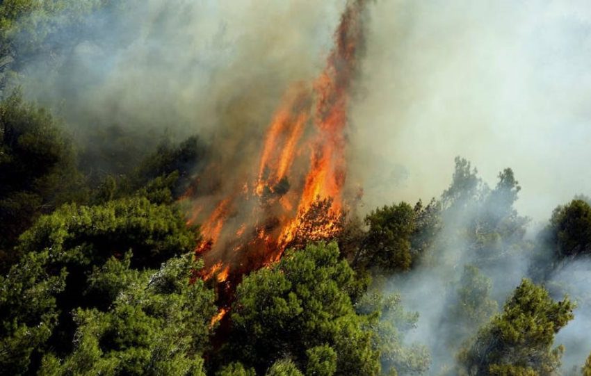  Πυρκαγιά σε δασική περιοχή στη Φθιώτιδα