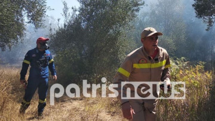 Μεγάλη φωτιά στην Ηλεία – Ενισχύονται οι δυνάμεις της Πυροσβεστικής