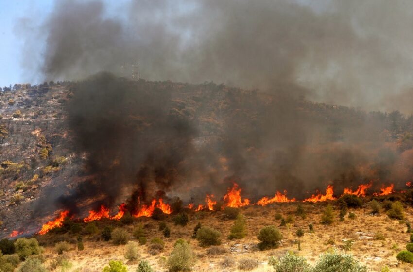  Φωτιά στη Λακωνία-Καίει δάσος