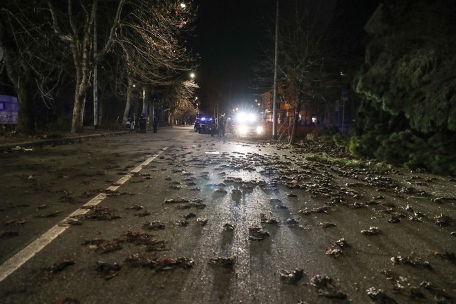  Βράδυ Πρωτoχρονιάς: Τα πυροτεχνήματα σκότωσαν εκατοντάδες πουλιά – Γέμισαν οι δρόμοι της Ρώμης (εικόνες, vid)