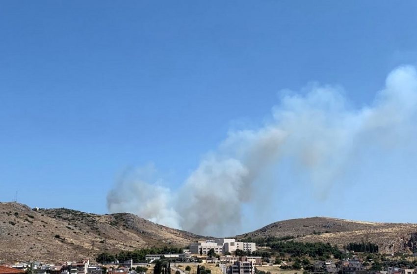  Φωτιά στη Χαλκίδα – Ισχυροί άνεμοι – Αποπνικτική η ατμόσφαιρα στην πόλη