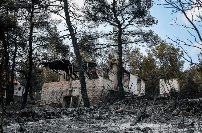  Κατάσταση έκτακτης ανάγκης στην περιοχή των Βιλίων – Οριοθετήθηκε η φωτιά, πάνω από 80.000 στρέμματα δάσους, στάχτη