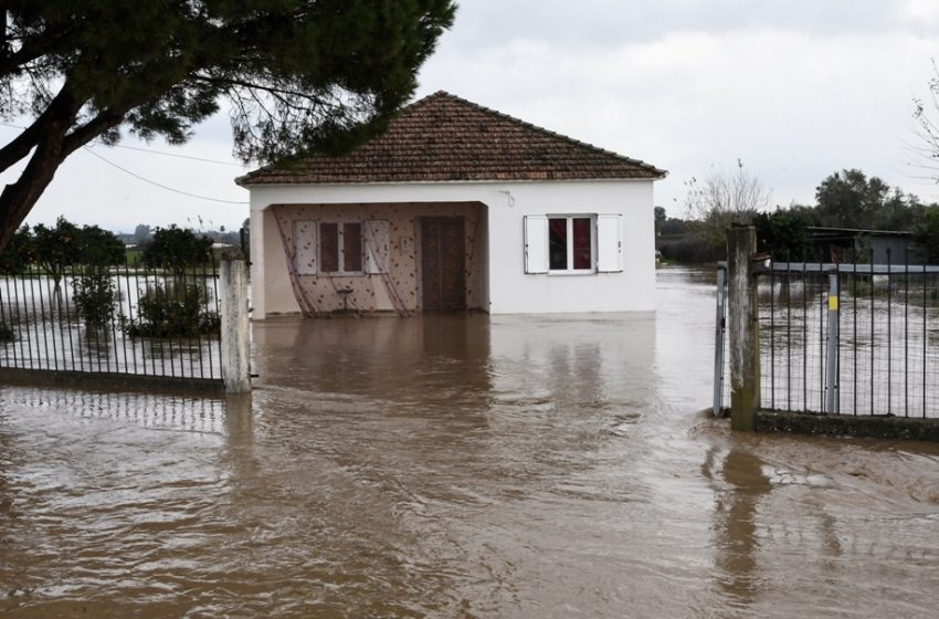  Ηλεία: Έπεσαν δέντρα, κόπηκε το ρεύμα σε χωριά από την κακοκαιρία – Κλειστή για ώρες η Πατρών- Πύργου