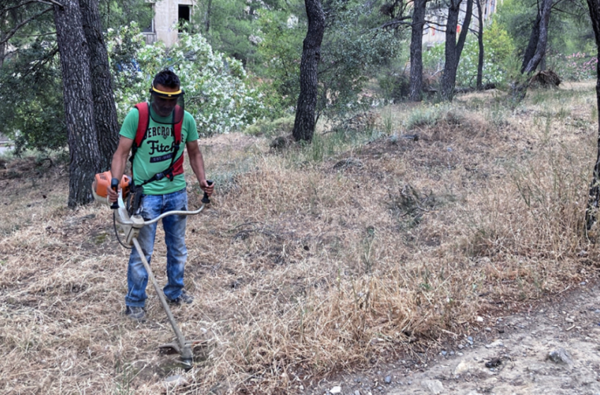 Πυροπροστασία: Τι πρέπει να κάνετε με τον καθαρισμό των οικοπέδων – Τα πρόστιμα