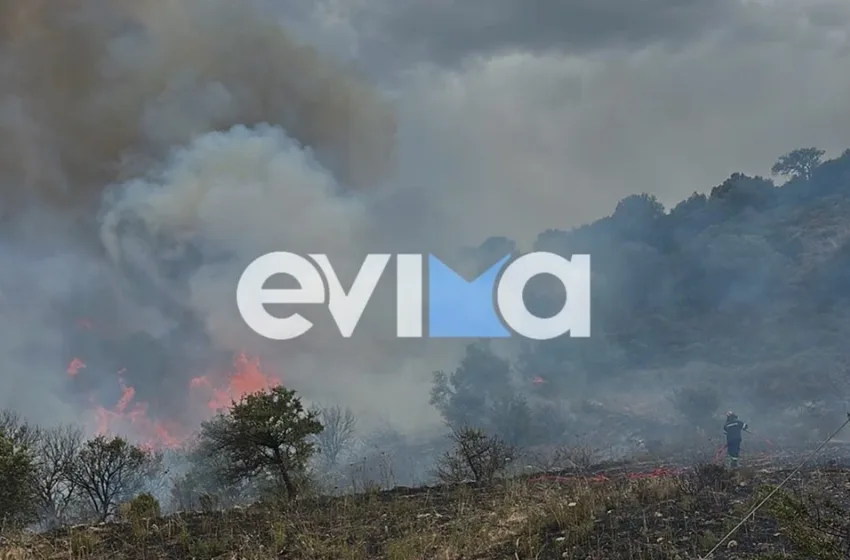  Φωτιά Εύβοια: Ενισχύθηκαν οι πυροσβεστικές δυνάμεις -Μάχη με διάσπαρτες εστίες