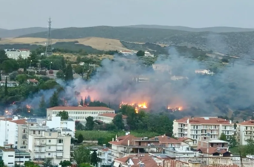  Φωτιά στη Λιβαδειά: Καλύτερη η εικόνα -Έκαιγε κοντά σε σπίτια, νοσοκομείο, δεξαμενές προπανίου (vid)