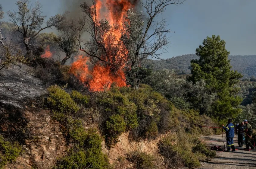  Μυτιλήνη: Μεγάλη και δύσκολη η φωτιά στη Μόρια -Πνέουν ισχυροί άνεμοι (vid)