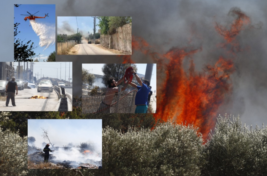  Πυρκαγιά Βάρης/Κορωπίου: Κάηκαν σπίτια, ζημιές σε επιχειρήσεις- Η εικόνα του μετώπου
