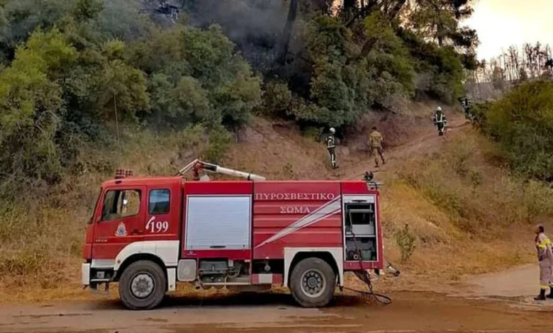  Εύβοια: Φωτιά τώρα  στην Ριτσώνα κοντά στο εργοστάσιο Παπουτσάνης