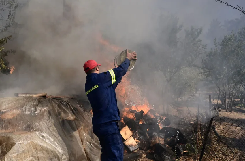  Τρεις συλλήψεις για πυρκαγιές σε Σαλαμίνα, Ραφήνα και Πόρο
