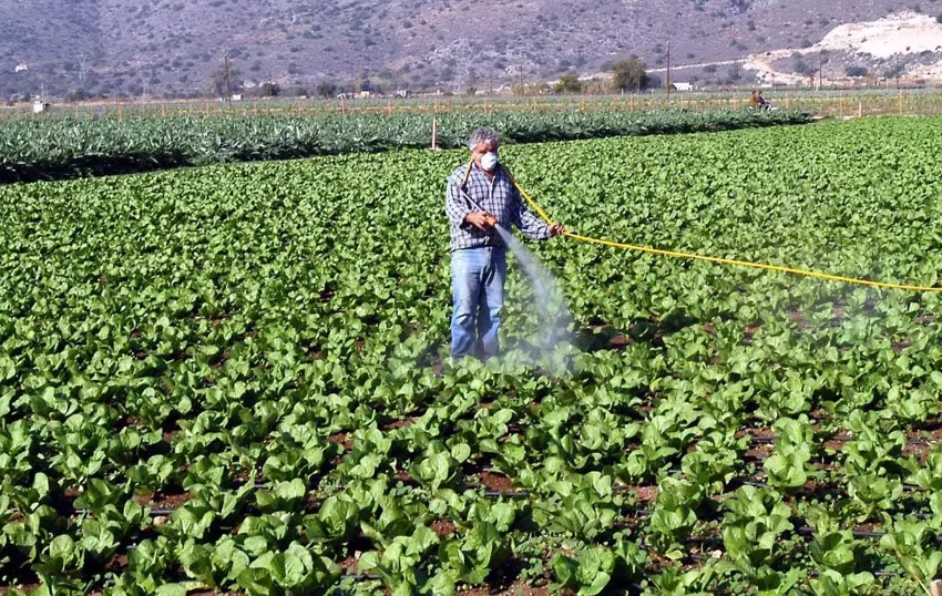  Θεσσαλία: Ανάγκη για έργα διαχείρισης νερού – ”Πιέζει” η κλιματική κρίση