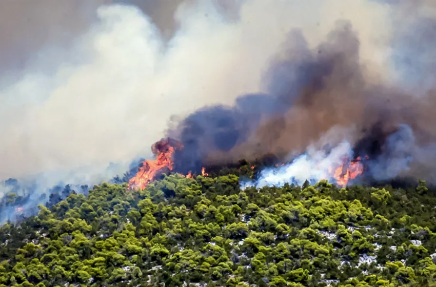  Αργολίδα: Αγροτοδασική πυρκαγιά κοντά στο  Ναύπλιο