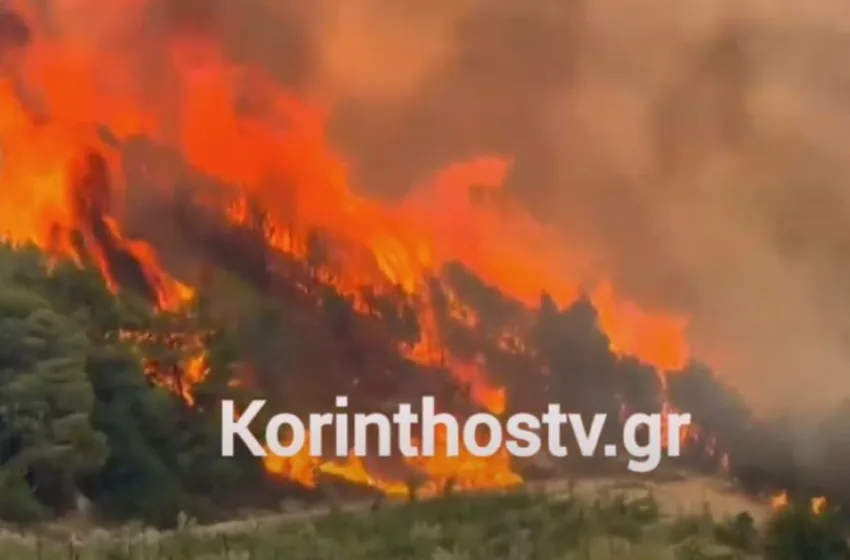  Δύο οι φωτιές στην Κόρινθο- Πυροσβέστης μεταφέρθηκε στο νοσοκομείο (vid)