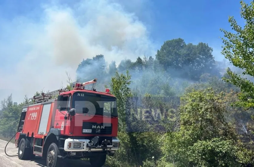 Πυρκαγιές  σε Μεσσηνία, Καστοριά και Πρέβεζα-Εστάλη μήνυμα 112
