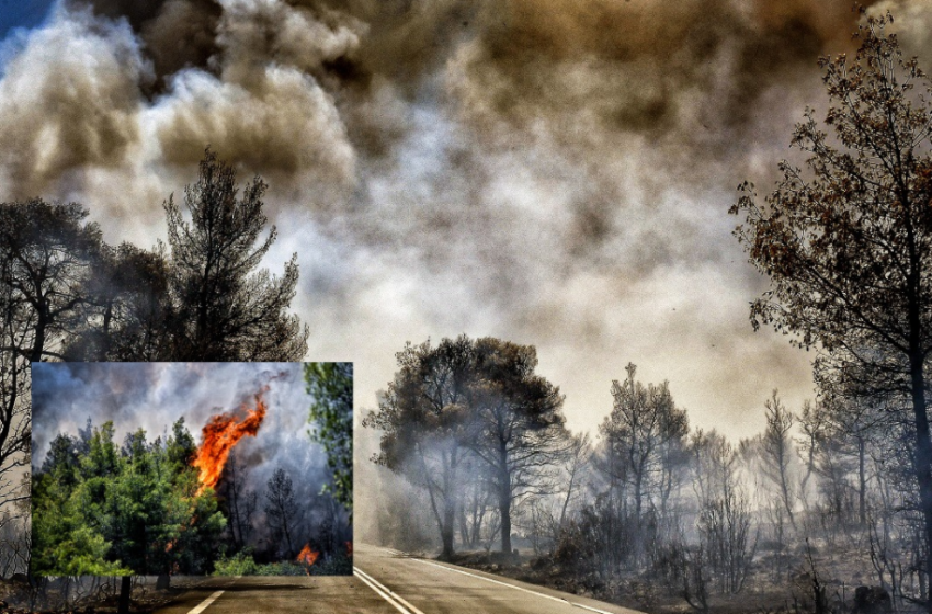  Σοφικό: Διάσπαρτες εστίες, στα 25 μέτρα οι φλόγες-Καρδιακό επεισόδιο υπέστη πυροσβέστης, άλλοι 3 τραυματίες