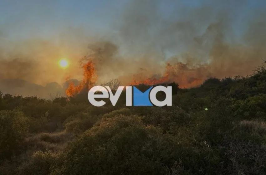  Φωτιά σε 2 μέτωπα στην Εύβοια-Συναγερμός στην πυροσβεστική