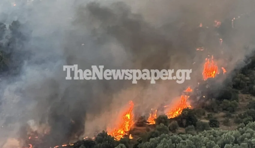  Φωτιά στο Φυτόκο Μαγνησίας (εικόνες)