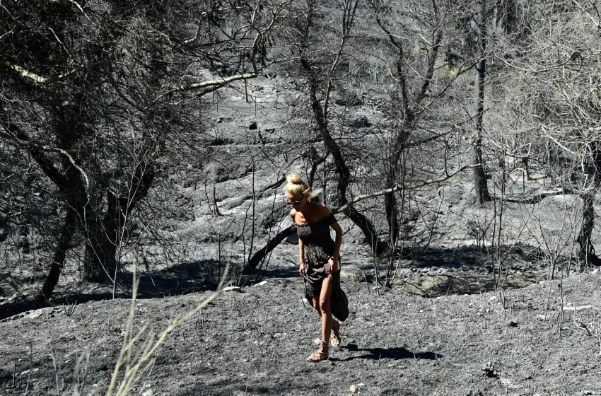  Φωτιές στην Αττική: Χάθηκαν 450.000 στρέμματα σε 8 χρόνια – Οι επιστήμονες  κρούουν τον κώδωνα του κινδύνου