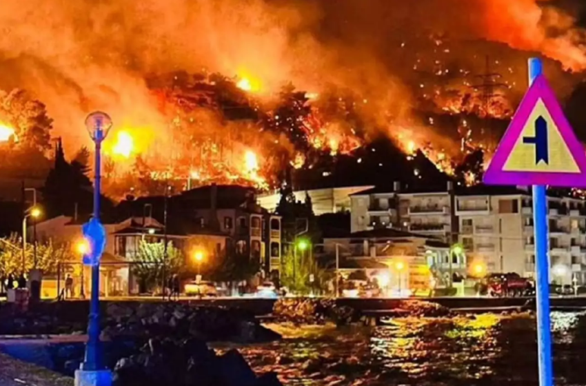  Από μελίσσια ξεκίνησε η μεγάλη φωτιά στην Κορινθία-Τι δείχνουν τα στοιχεία