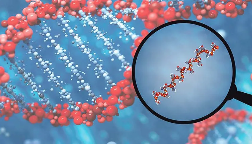  Από τα …σκουλήκια στα microRNA και στη μελλοντική θεραπεία καρκίνων- Μία απίστευτη ιστορία πίσω από το φετινό Νόμπελ Ιατρικής