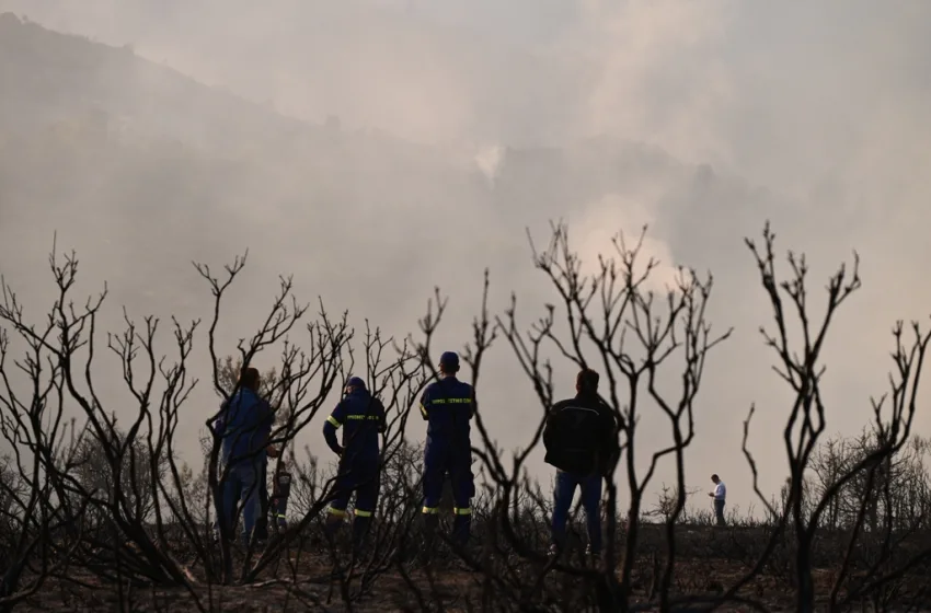  Ξυλόκαστρο: Κάρβουνο 50.000 στρέμματα-Οργή των κατοίκων